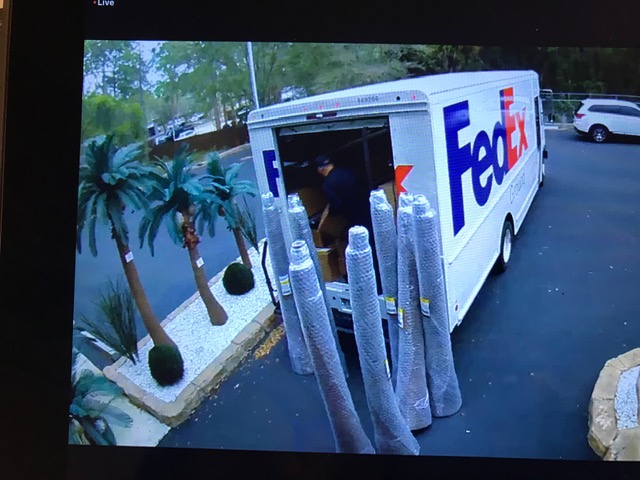 <p>FedEx Ground will deliver your <br>Palm Trees right to your doorstep</p>    