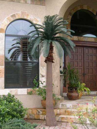 Tropical Expressions, Large Fake Palm Trees Outdoor