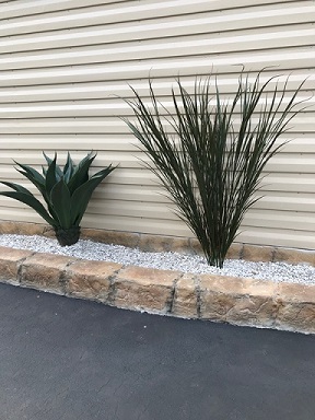 <p>Realistic beach grass and agave plants <br>are in stock for rock-scapes and waterfall projects.<br></p>                            