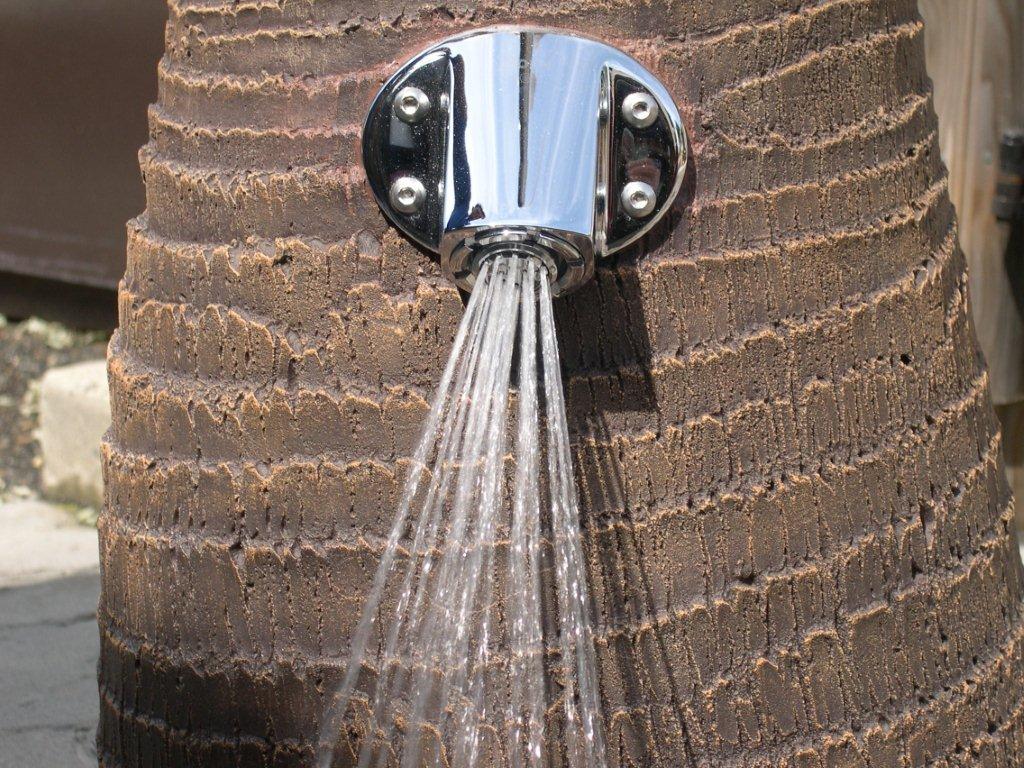<h2 style="text-align: center;">Foot Spray</h2>
<h3 style="text-align: center; ">Shower Palm Tree</h3><p style="text-align: center; ">Rinse off after a dip in the pool with a touch of a button.&nbsp; Our unique shower palm has an adjustable metering button to allow water to flow for longer or shorter shower cycles with automatic shut off.</p><p style="text-align: center; ">Optional foot shower available</p><p style="text-align: center; ">The kids are sure to have fun playing under the <br>Shower Palm Tree<br>Lots Of Fun!<br>Indoor or Outdoor Use</p><p style="text-align: center; "><br></p>                                                                