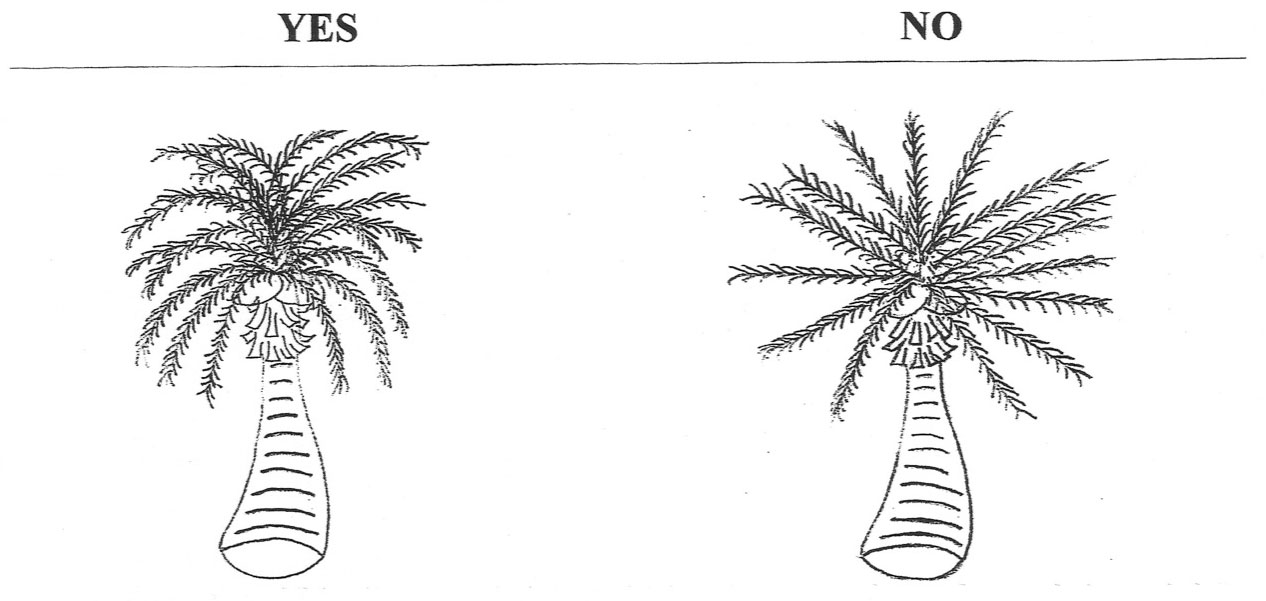 instrutions